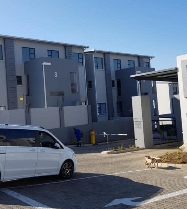 Sandton_Apartments_to_rent_8.JPG